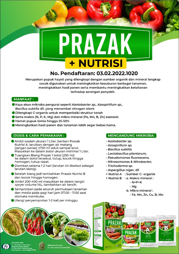Detail Produk PRAZAK Nutrisi A & B Zefa