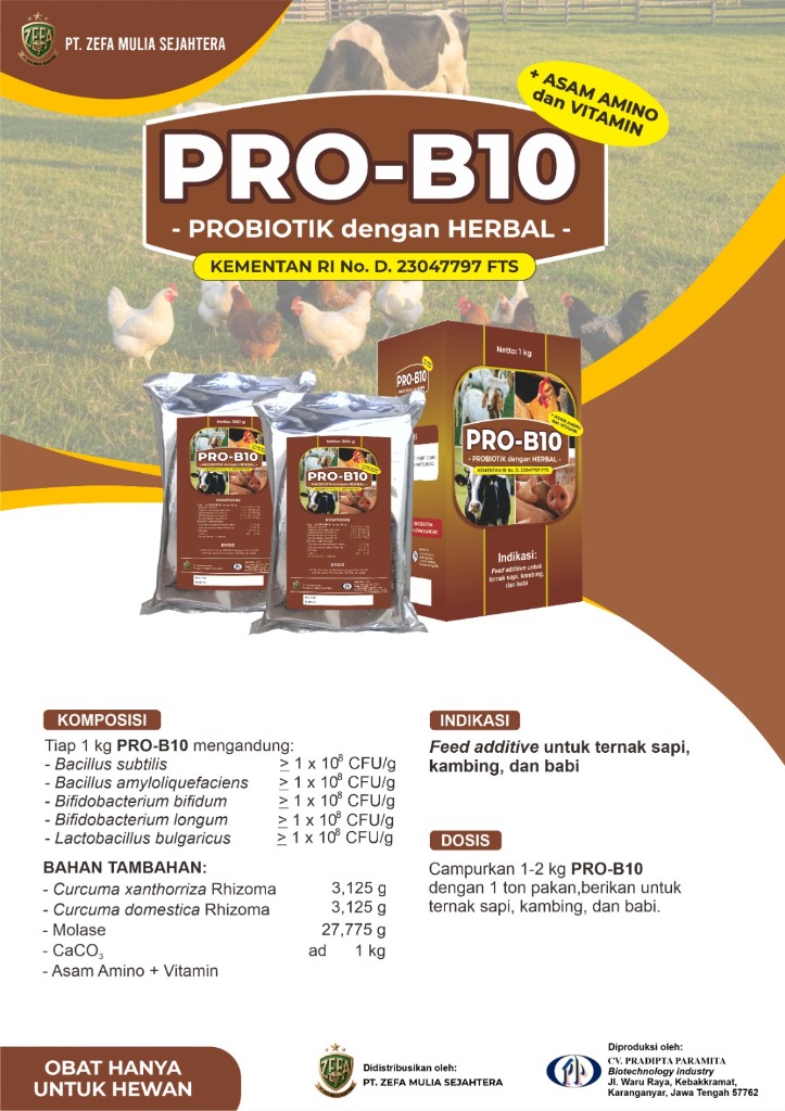 Detail Indikasi dan Dosis PRO-B10