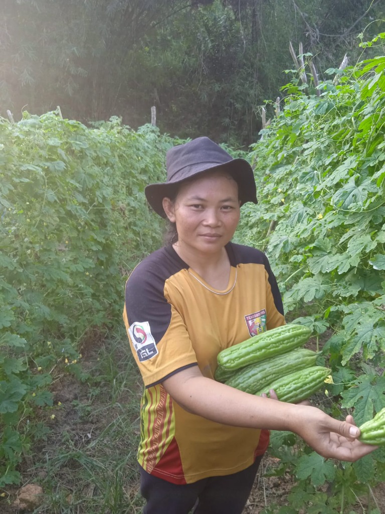 Petani Sayur Panen Melimpah Pakai PRAZAK