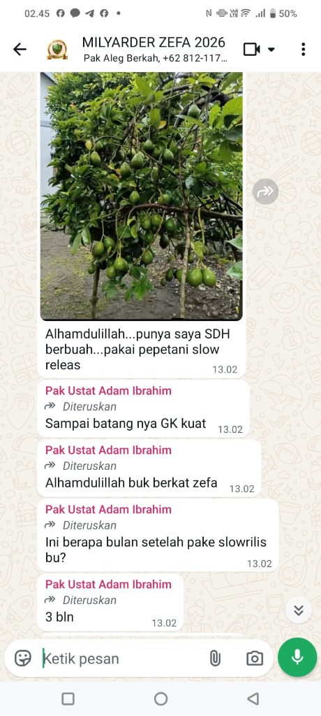 Chat WhatsApp Testimoni Alpukat Berbuah Pakai Pepetani